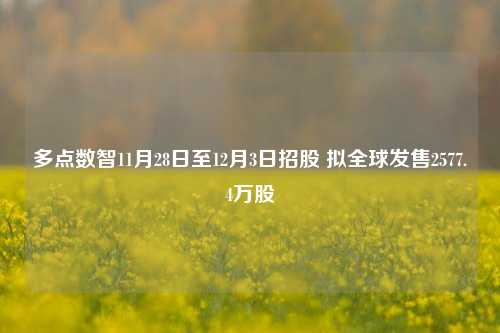 多点数智11月28日至12月3日招股 拟全球发售2577.4万股