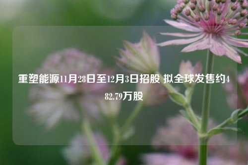 重塑能源11月28日至12月3日招股 拟全球发售约482.79万股