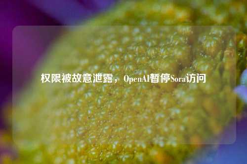 权限被故意泄露，OpenAI暂停Sora访问