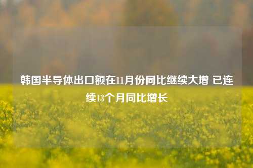 韩国半导体出口额在11月份同比继续大增 已连续13个月同比增长