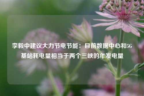 李毅中建议大力节电节能：目前数据中心和5G基站耗电量相当于两个三峡的年发电量