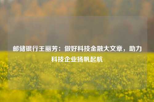 邮储银行王丽芳：做好科技金融大文章，助力科技企业扬帆起航