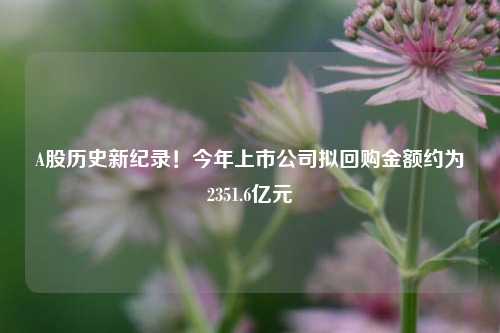 A股历史新纪录！今年上市公司拟回购金额约为2351.6亿元