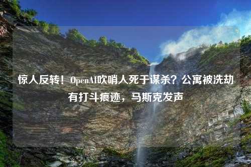 惊人反转！OpenAI吹哨人死于谋杀？公寓被洗劫有打斗痕迹，马斯克发声