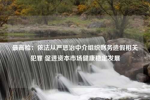 最高检：依法从严惩治中介组织财务造假相关犯罪 促进资本市场健康稳定发展