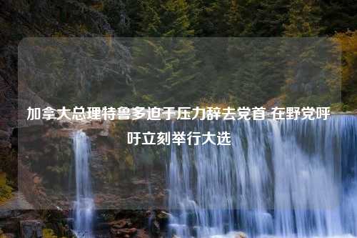 加拿大总理特鲁多迫于压力辞去党首 在野党呼吁立刻举行大选