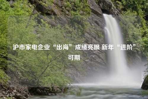 沪市家电企业“出海”成绩亮眼 新年“进阶”可期