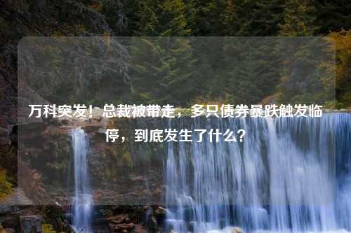 万科突发！总裁被带走，多只债券暴跌触发临停，到底发生了什么？