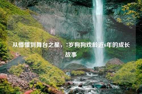 从懵懂到舞台之星，7岁狗狗戏龄近6年的成长故事