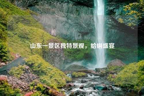山东一景区独特景观，蛤蜊盛宴