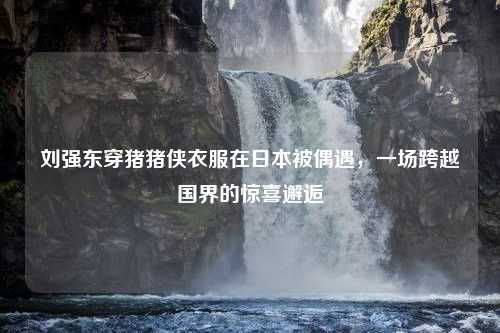 刘强东穿猪猪侠衣服在日本被偶遇，一场跨越国界的惊喜邂逅